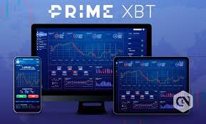 The Rise and Impact of Team PrimeXBT in the Crypto Trading World