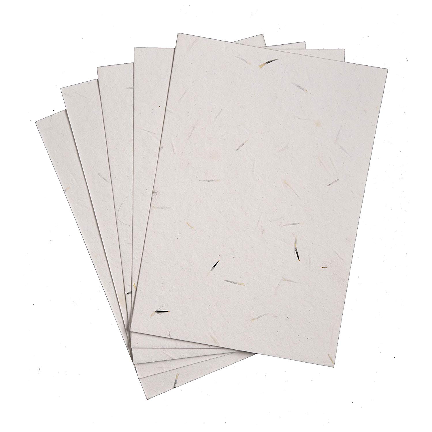 Plantable Seed Paper A4 Size (Pack of 5)