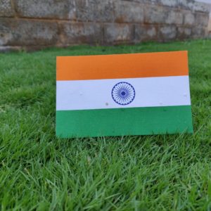 Plantable Independence Day Flag | August 15 | Not Plastic | Seed Paper Flags | Tricolor Flags in Seed Paper | Seed Paper India | 21Fools | BioQ