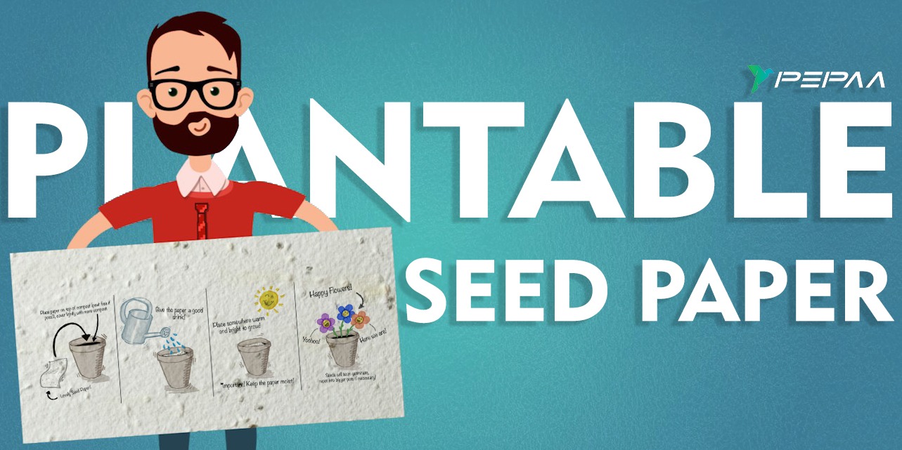 Here's Why Investing In Plantable Seed Paper Is Worth Your Buck
